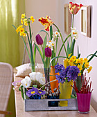 Tulipa (tulips), Narcissus 'Geranium', ' Grand Soleil d'Or' (daffodil)