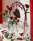 Rosa (rote Rosen einzeln), Hedera (Efeu) und Clematis
