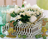 Rhipsalidopsis gaertneri 'Alba' (white Easter cactus) in metal basket