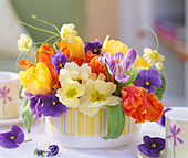 Primula (primroses), Viola (pansies), Tulipa (tulips)