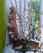 Prunus spinosa, sloe branches in glass tube, brick