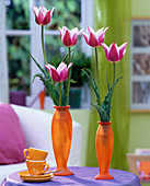 Tulipa 'Claudia' (Tulpen) in orangen Glasvasen