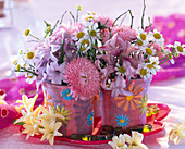 Hyacinthus (hyacinth), Bellis (daisy), Matricaria