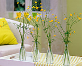 Ranunculus acris (buttercup) or buttercups in small glass bottles