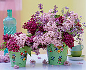 Syringa (Lilac), Nepeta (Catmint) in painted tin pots
