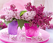 Syringa vulgaris (lilac) in matching glasses