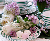 Syringa vulgaris (lilac flowers), decorative ribbon, marshmallows