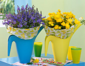 Colourful plastic watering cans as vases