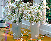 Gypsophila paniculata (baby's breath) in frosted glass jars