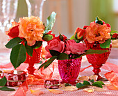 Rosa 'Tequila', ' Leonardo da Vinci' (rose flowers)