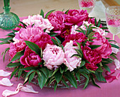 Paeonia, wreath of different peonies