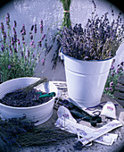 Getrocknete Lavandula (Lavendel): Blüten abriebeln