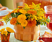 Calendula 'Kablouna Mixed' (Ringelblumen)