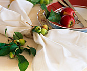 Malus (apples) and decorative apples as napkin holders
