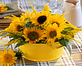 Gelbe Blechschale mit Helianthus annuus / Sonnenblumen