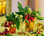 Malus (ornamental apples) as bouquet in yellow and orange glass on yellow tablecloth