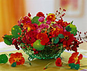 Tropaeolum (nasturtium), Rosa (rosehips)