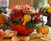 Cucurbita (Kürbisse), Rosa (Rosen und Hagebutten), Clematis (Waldrebe)