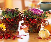 Brassica (Zierkohl), Töpfe dekoriert mit Herbstlaub, Erica (Heide), Rosa (Hagebutte)