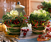 Brassica (Zierkohl), Rosa (Hagebutten), Töpfe eingewickelt mit Vitis (Weinlaub)