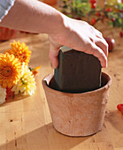 Dahlia arrangement: stick sponge in clay pot, Dahlia (dahlias)