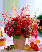 Chrysanthemum, Sedum (Fetthenne), Rosa (Hagebutten), Heuchera (Purpurglöckchen)