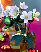 Helleborus niger (Christmas roses) in a glass supported by balls