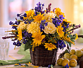 Helianthus 'Capenoch Star' (sunflowers), Delphinium (larkspur), Dahlia