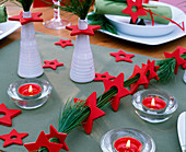 Red wooden stars on Pinus strobus (silk pine), flower vases