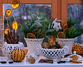 Citrus (Orangen), Orangenscheiben, Pinus (Seidenkiefer), Olea (Olivenzweige)