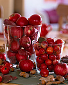 Malus (rote Äpfel und Zierapfel in Glasvasen), Corylus (Haselnüsse)