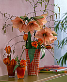 Hippeastrum (Amaryllis) mit lachsfarbenen Blüten, Tulipa (Tulpen)