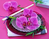 Asiatische Tellerdeko mit Blüten der Schmetterlingsorchidee