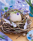Ostrich egg in the nest