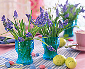 Muscari (grape hyacinth) in blue glasses, Easter eggs