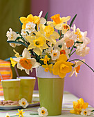 Narcissus (narcissus) filled, unfilled, large-flowered, small-flowered