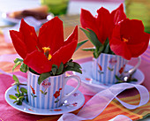 Tulipa (rote Tulpen) in hellblau gestreiften Blümchentassen