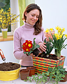 Colorful spring basket