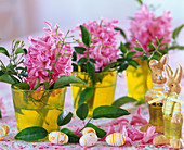Hyacinthus (pink hyacinths)