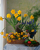 Narcissus (daffodils), Crocus (crocuses), Muscari (grape hyacinths)