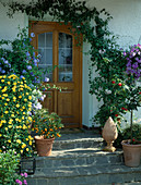Potted plants at the house entrance