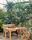 Wintergarten mit Citrus, Cordyceps und anderen Pflanzen