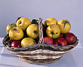 Quince basket