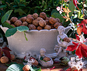 Juglans regia (walnuts in ceramic bowl)