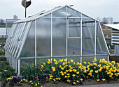 Greenhouse