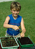 Boy pricking vegetable seedlings
