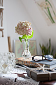 Hydrangea in vintage vase and spectacles on book