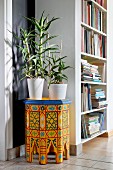 Candelabra aloe in white pot on colourful Moroccan side table
