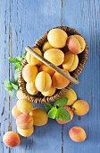 Apricots in a wicker basket on a blue wooden background
