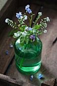 Forget-me-nots (Myosotis) in a green glass vase in a wooden tray